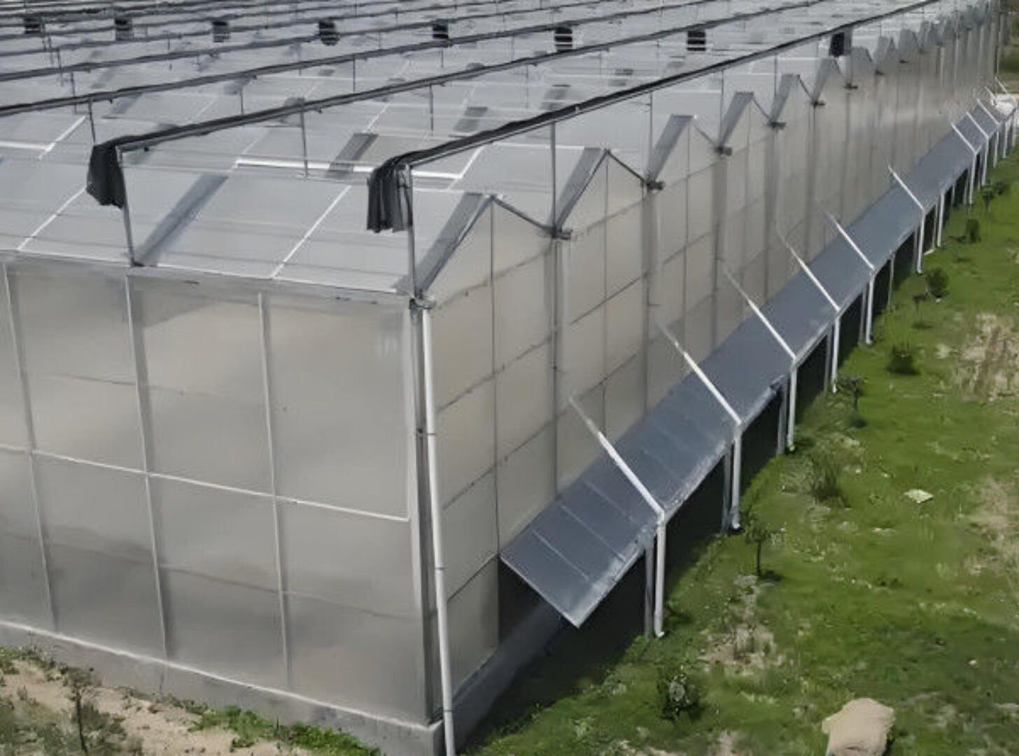 Venlo Style Polycarbonate Farming Green House Customizable Size