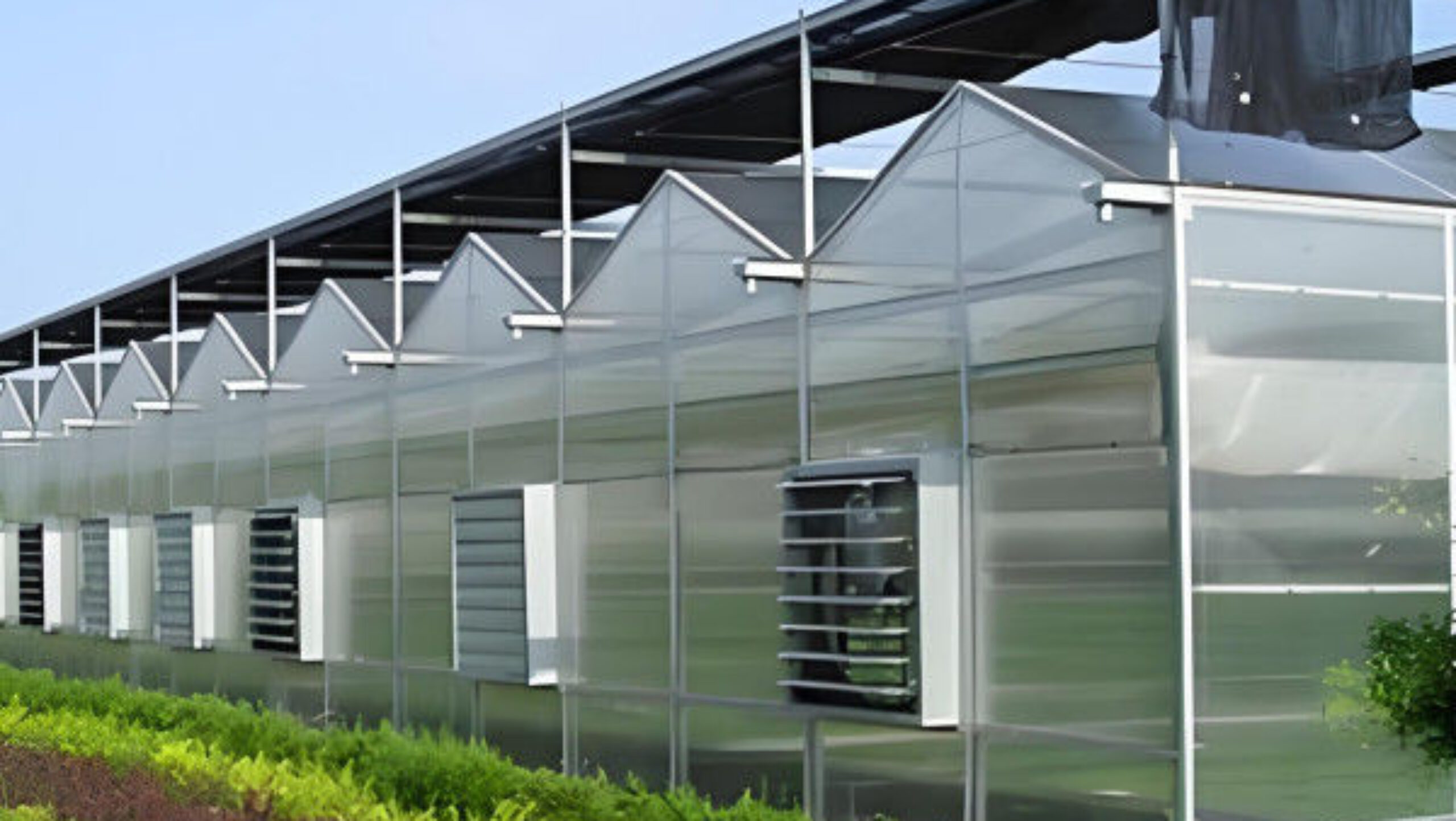 Venlo Style Polycarbonate Farming Green House Customizable Size