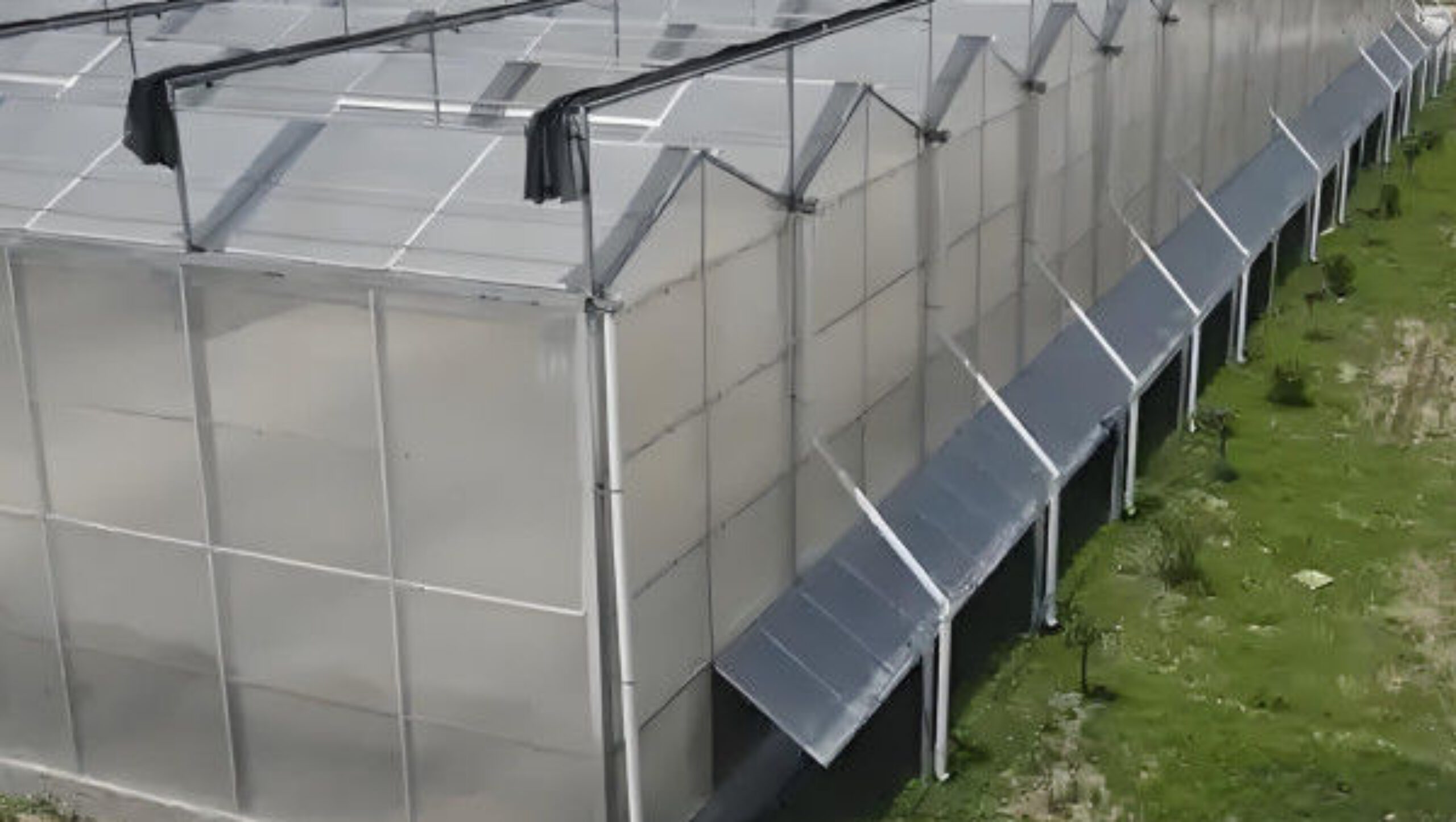 Venlo Style Polycarbonate Farming Green House Customizable Size