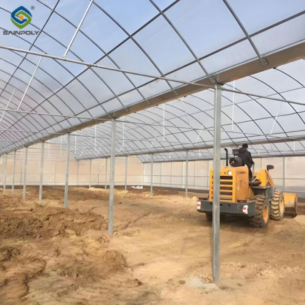 Venlo Type Strong Frame Hdyroponic Strawberry Greenhouse High Yield