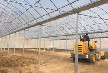 Venlo Type Strong Frame Hdyroponic Strawberry Greenhouse High Yield