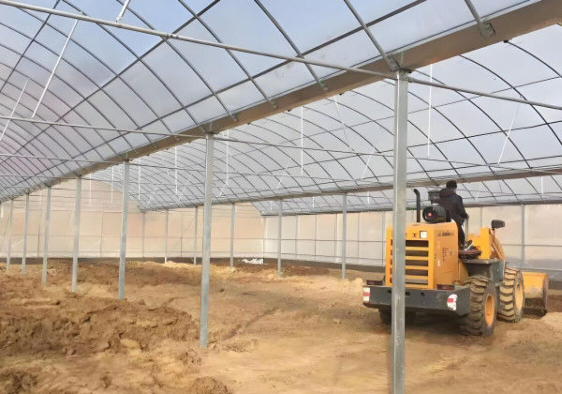 Venlo Type Strong Frame Hdyroponic Strawberry Greenhouse High Yield