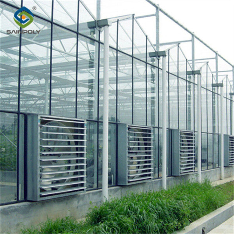 Versatile Venlo Style Greenhouse Featuring Energy Insulation and Automated Climate Regulation for Year