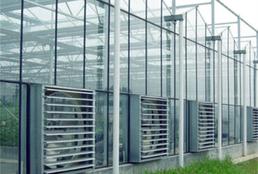 Versatile Venlo Style Greenhouse Featuring Energy Insulation and Automated Climate Regulation for Year