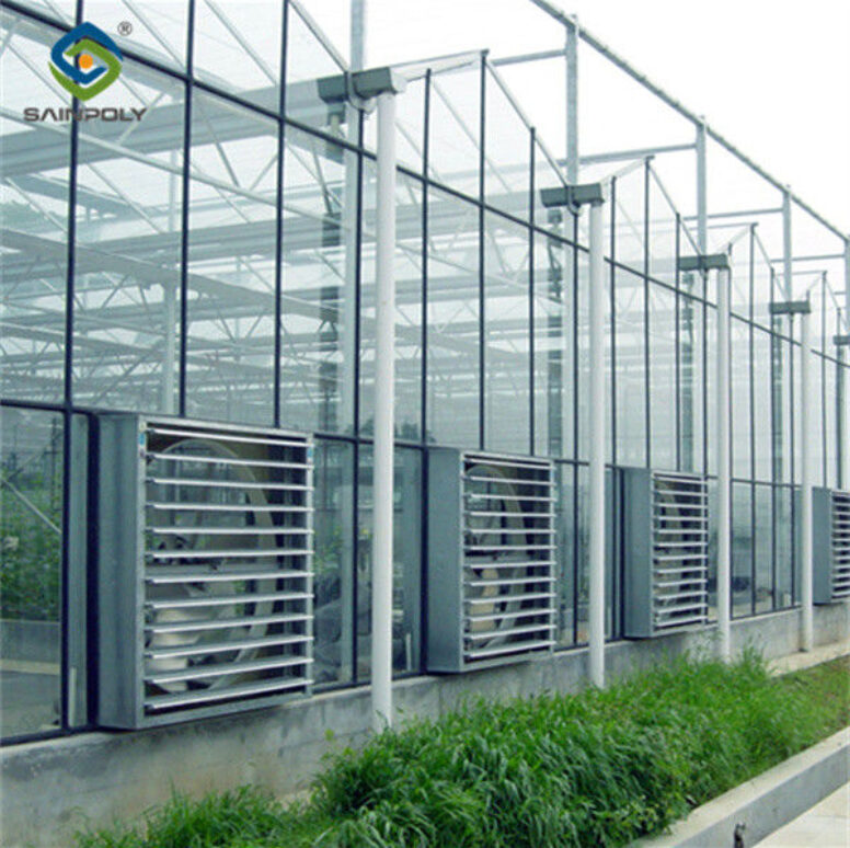 Versatile Venlo Style Greenhouse Featuring Energy Insulation and Automated Climate Regulation for Year