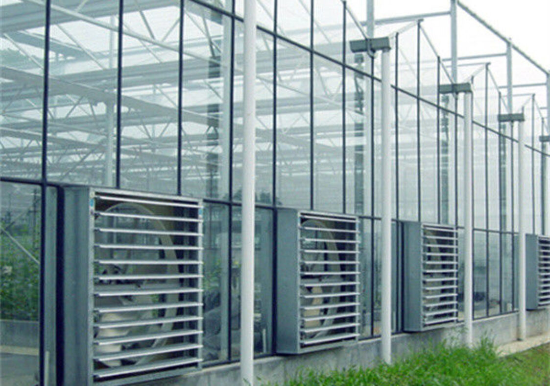 Versatile Venlo Style Greenhouse Featuring Energy Insulation and Automated Climate Regulation for Year