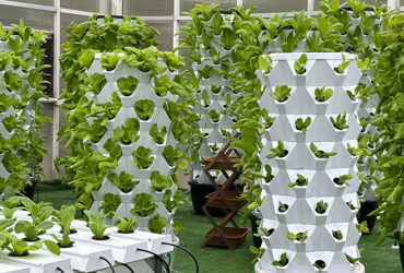 Vertical Hydroponic greenhouse for agricultural product cultivation