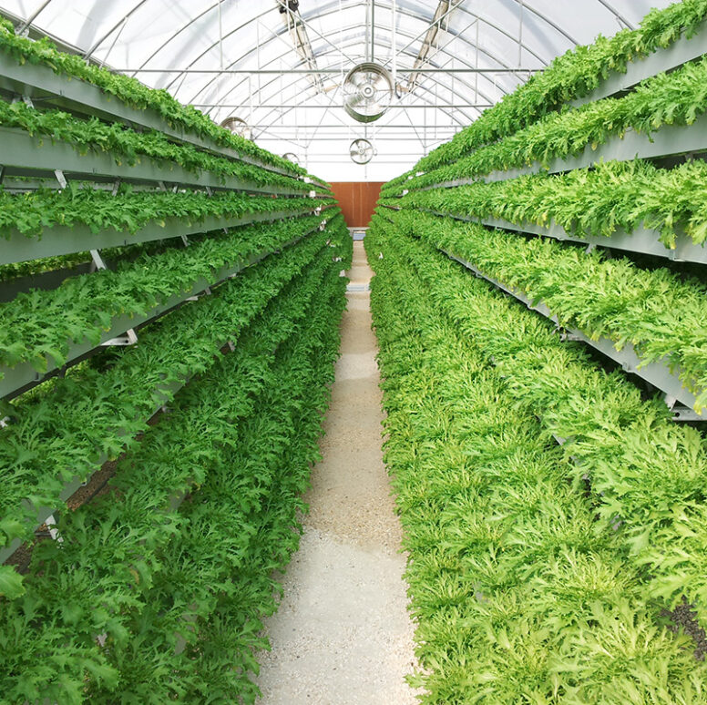 Vertical Hydroponic greenhouse for agricultural product cultivation