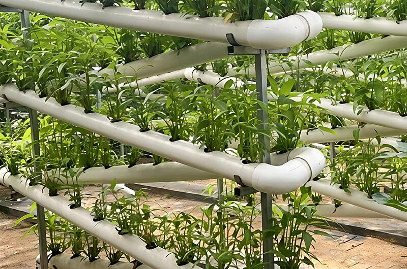 Vertical Hydroponic greenhouse for agricultural product cultivation