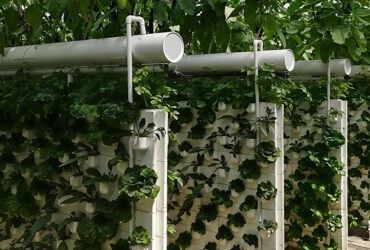 Vertical Hydroponic greenhouse is equipped with intelligent circulating liquid supply and layered