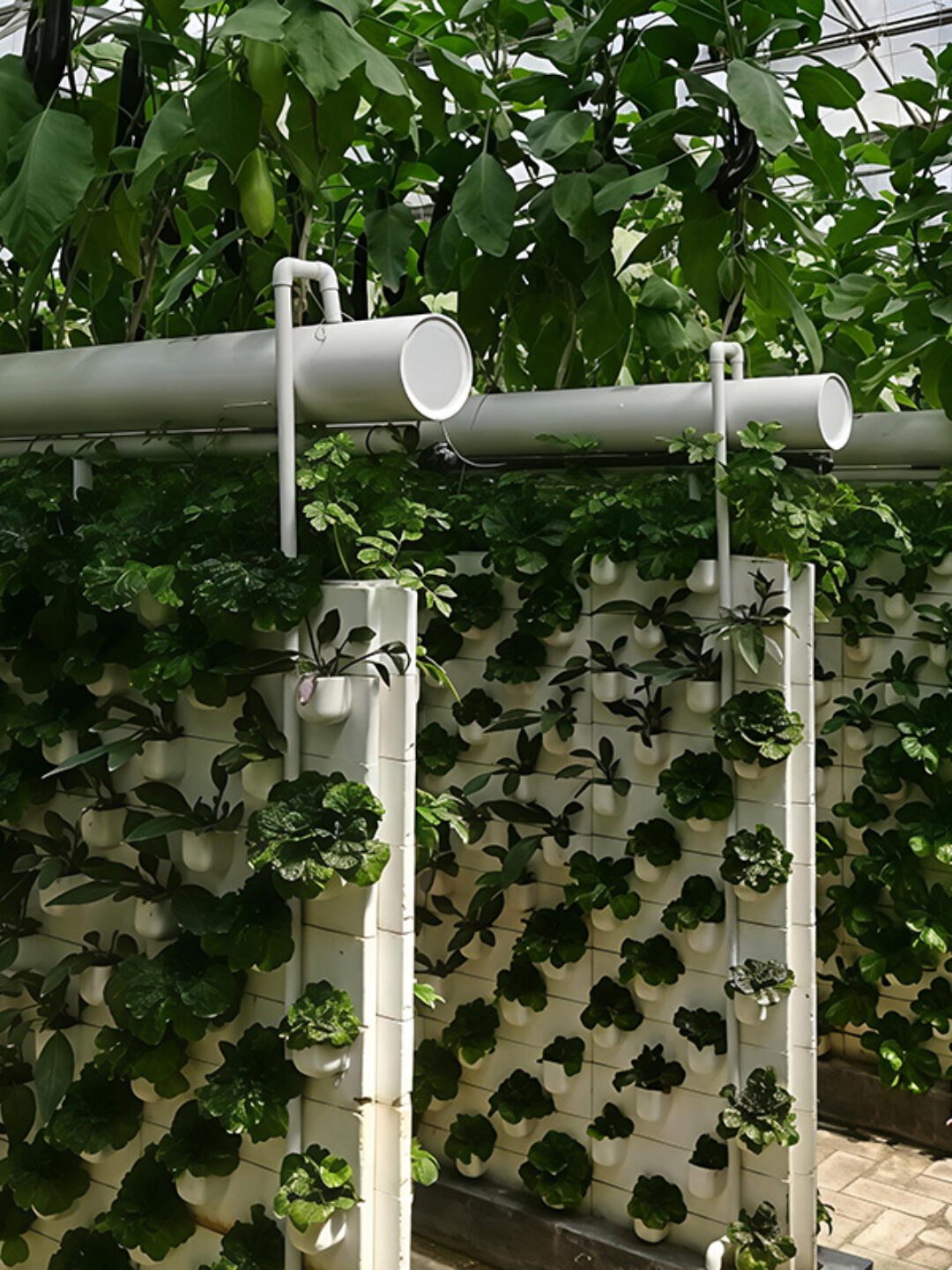 Vertical Hydroponic greenhouse is equipped with intelligent circulating liquid supply and layered