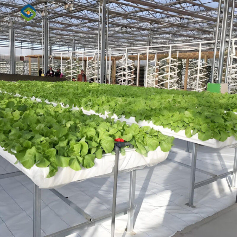 Vertical Lettuce Greenhouse PC Sheet Greenhouse With Hydroponic System