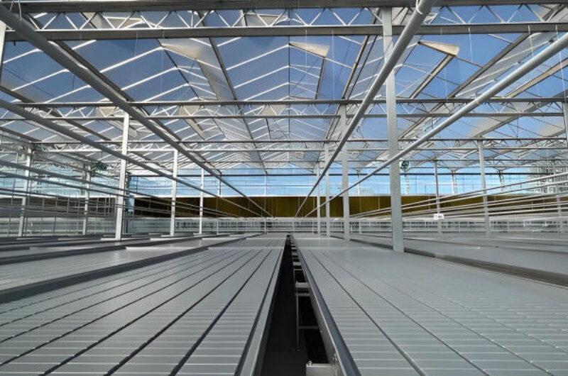 Vertical Lettuce Greenhouse PC Sheet Greenhouse With Hydroponic System