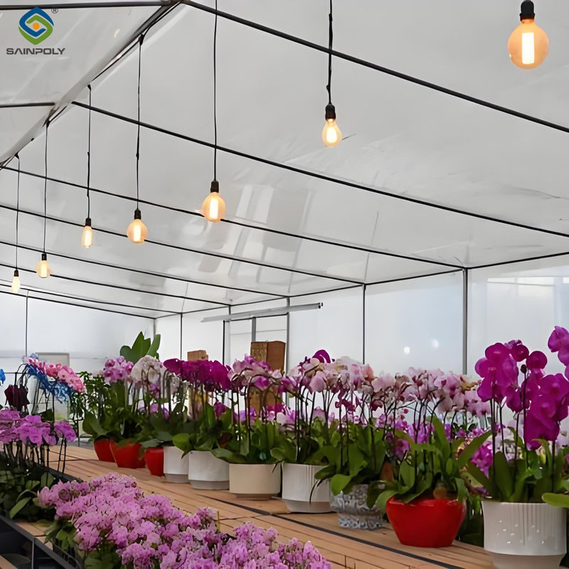 Waterproof Flower Greenhouse Multi Span Greenhouse With Strong Load Bearing