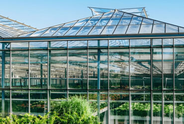 Waterproof Flower Greenhouse Multi Span Greenhouse With Strong Load Bearing