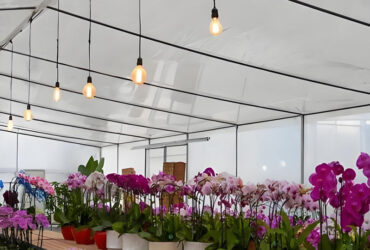 Waterproof Flower Greenhouse Multi Span Greenhouse With Strong Load Bearing