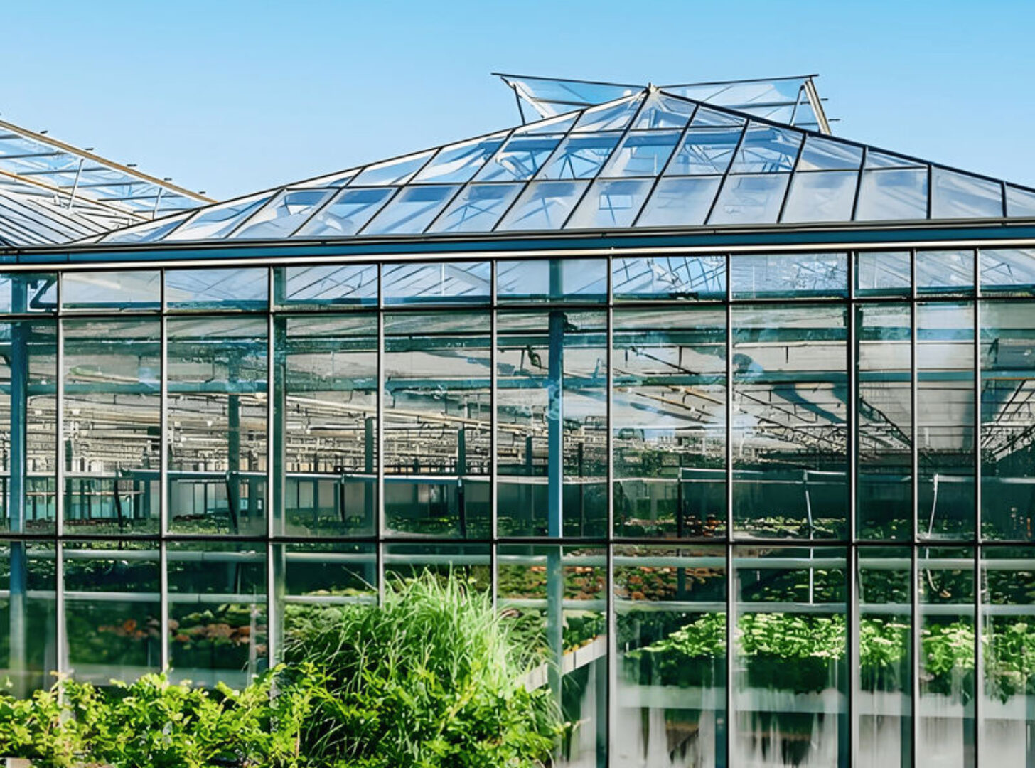 Waterproof Flower Greenhouse Multi Span Greenhouse With Strong Load Bearing