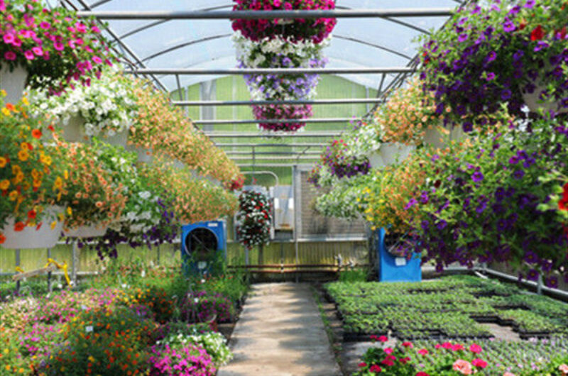 Waterproof Flower Greenhouse Multi Span Greenhouse With Strong Load Bearing