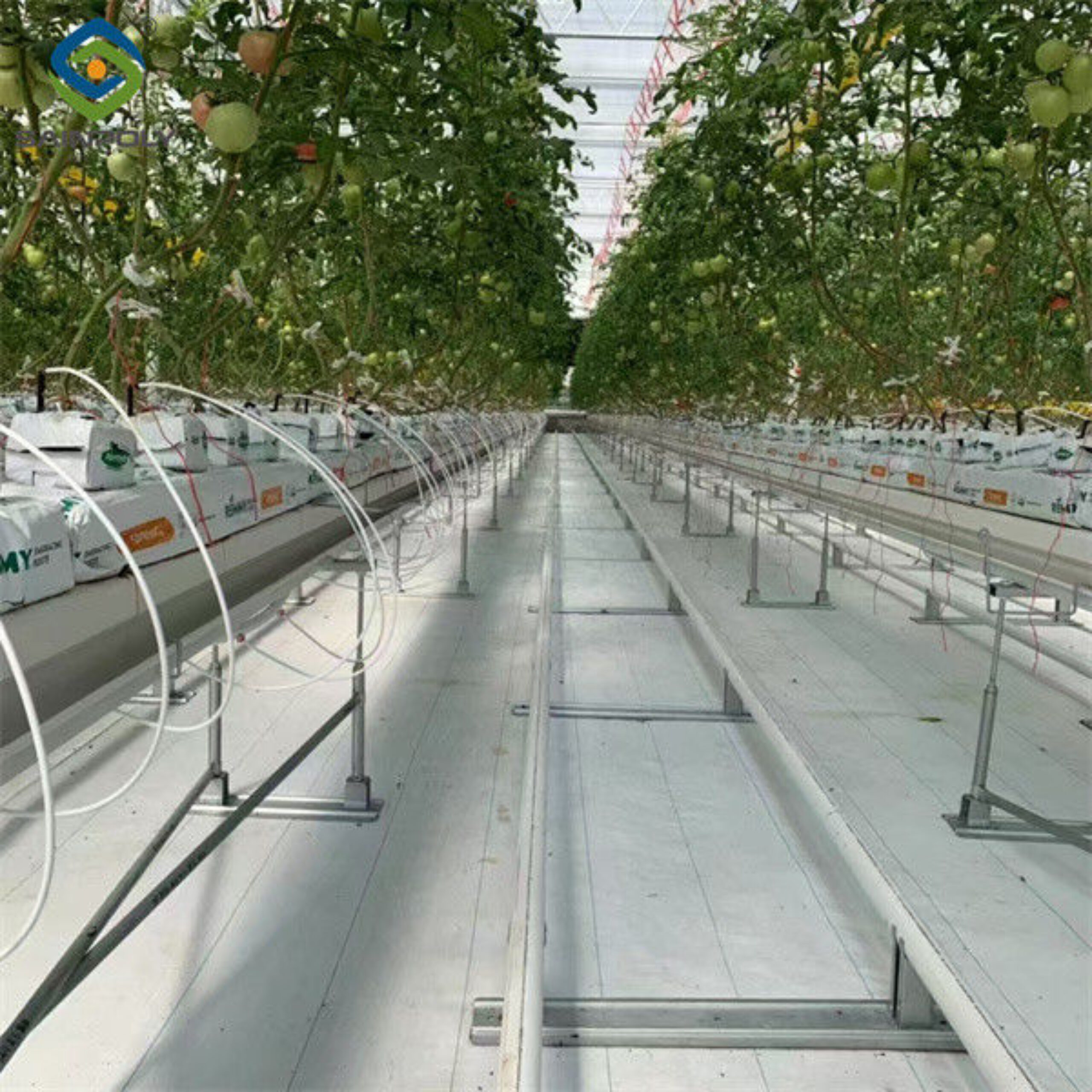 Waterproof Indoor Tomato Greenhouse Business For Sale With Hydroponic System Assembly Required Greenhouse