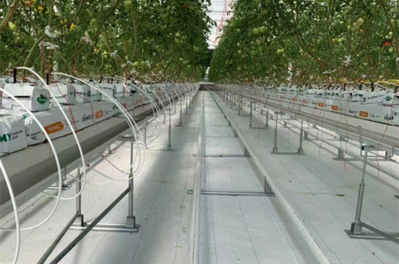 Waterproof Indoor Tomato Greenhouse Business For Sale With Hydroponic System Assembly Required Greenhouse