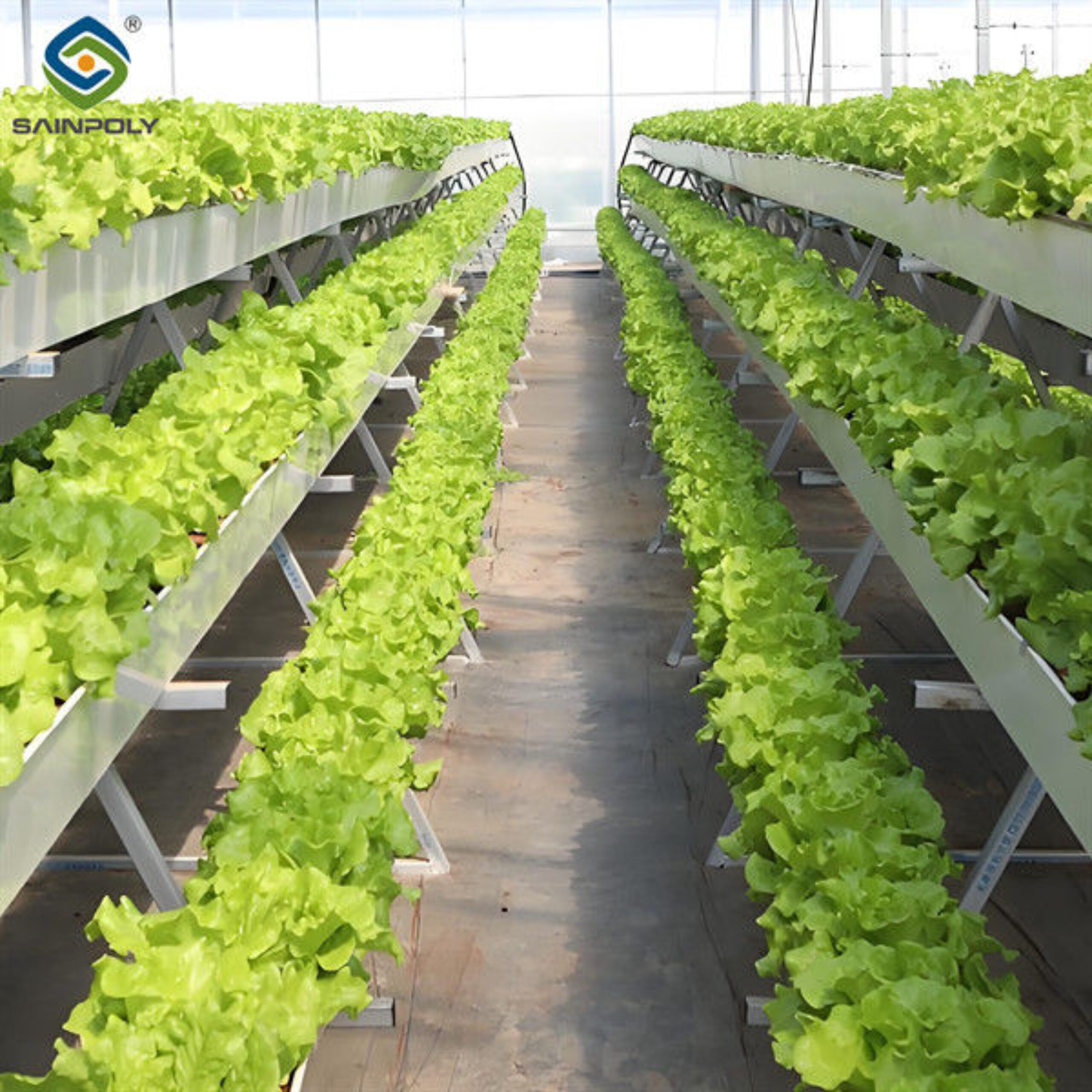 Weather Resistance Hydroponic System Greenhouse Multispan For Planting