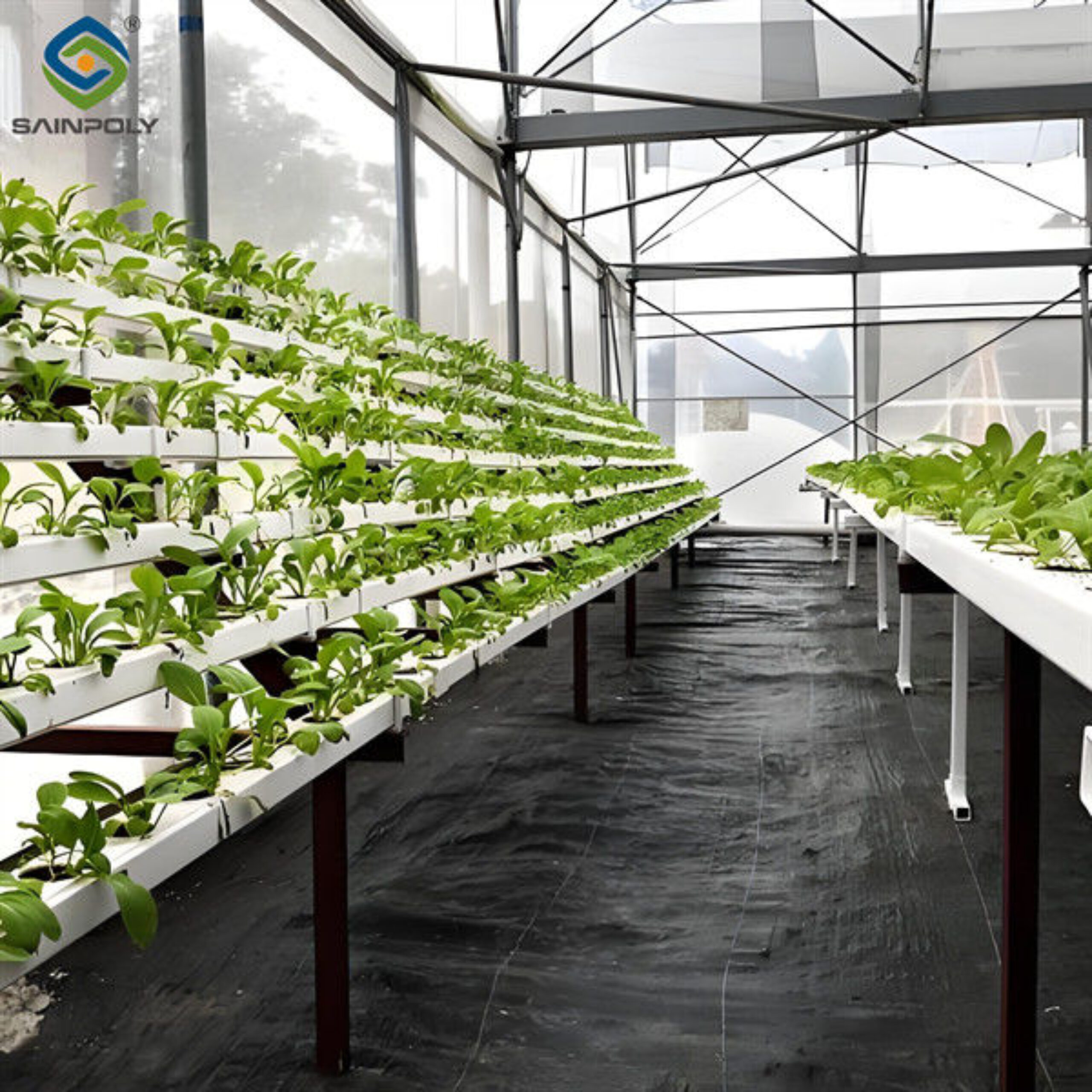 Weather Resistance Hydroponic System Greenhouse Multispan For Planting