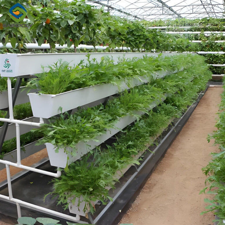 Weather Resistance Hydroponic System Greenhouse Multispan For Planting