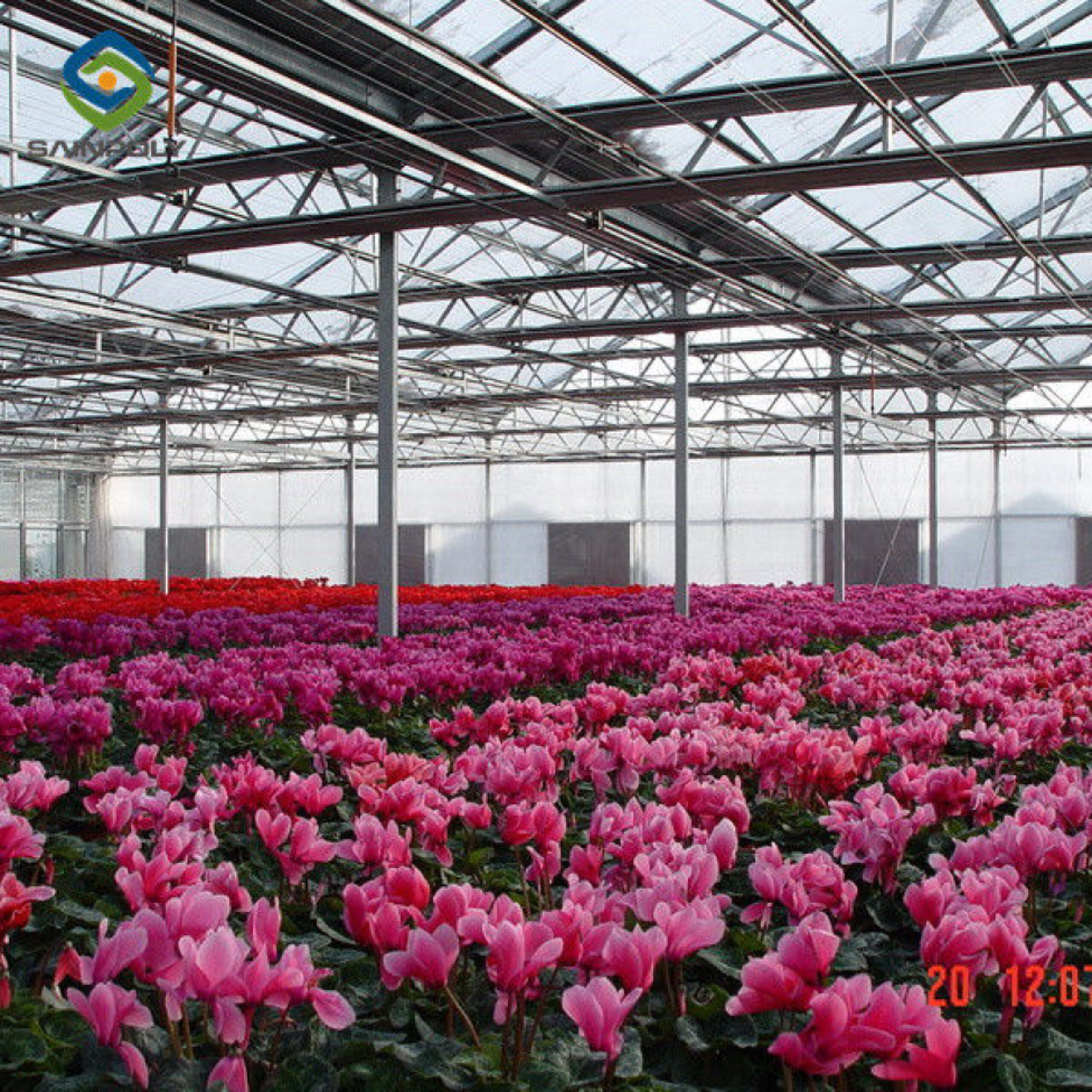 Weather Resistance Venlo Type Greenhouse With Hot Galvanized Steel Structure