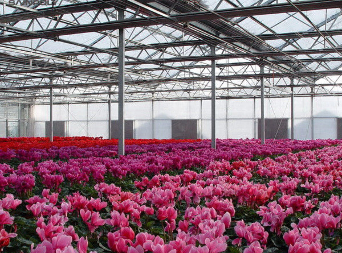 Weather Resistance Venlo Type Greenhouse With Hot Galvanized Steel Structure