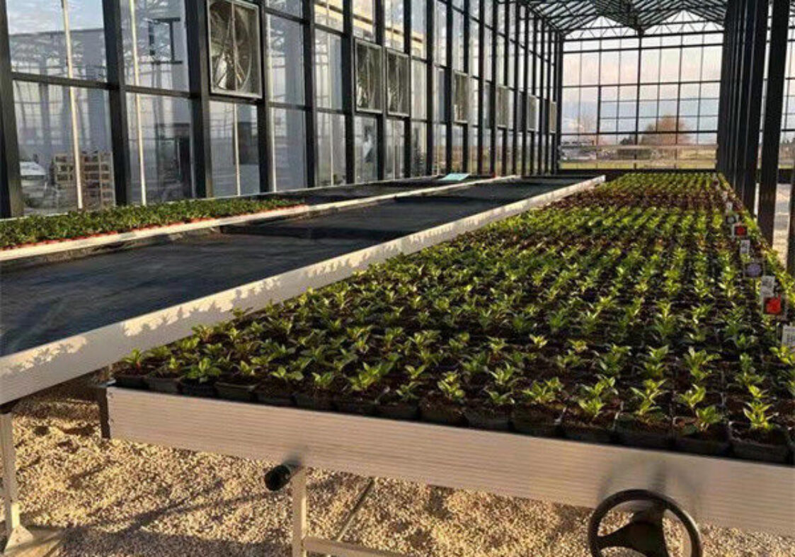 Weather Resistance Venlo Type Greenhouse With Hot Galvanized Steel Structure