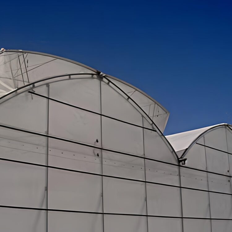 (Year-round Factory Cultivation of Leafy Vegetables) Pointed Roof Ventilation Commercial Gothic