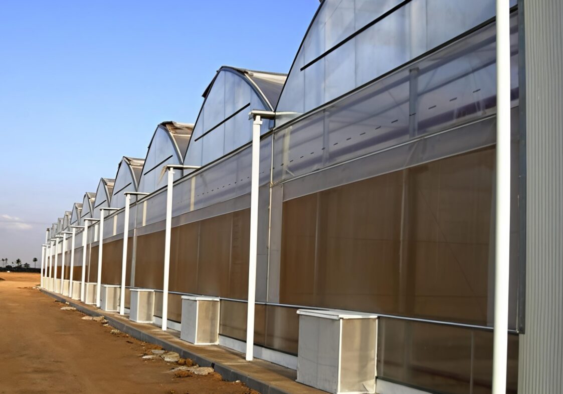 (Year-round Factory Cultivation of Leafy Vegetables) Pointed Roof Ventilation Commercial Gothic
